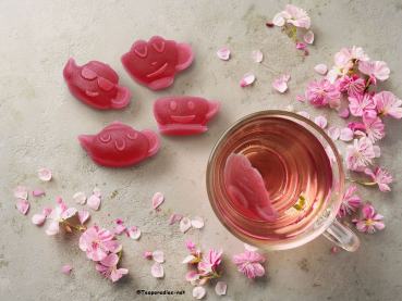 TeaMotions® „Geschenkset“ 5-fach sortiert, 5 x 125 Gramm = 625 g.