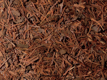 Lapacho Tee 100 g.