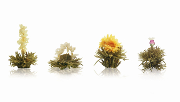 Preview: Weihnachtsbox „6 Erblühteekugeln weißer Tee“ von Creano Set: