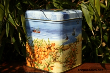 Teedose Sanddorn 50g