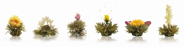 Große Holzkiste mit David Rio, Schlürfel & Erblühtee Präsent