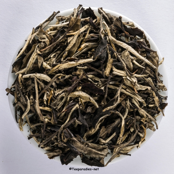 BIO: China Yunnan Silver Moonlight