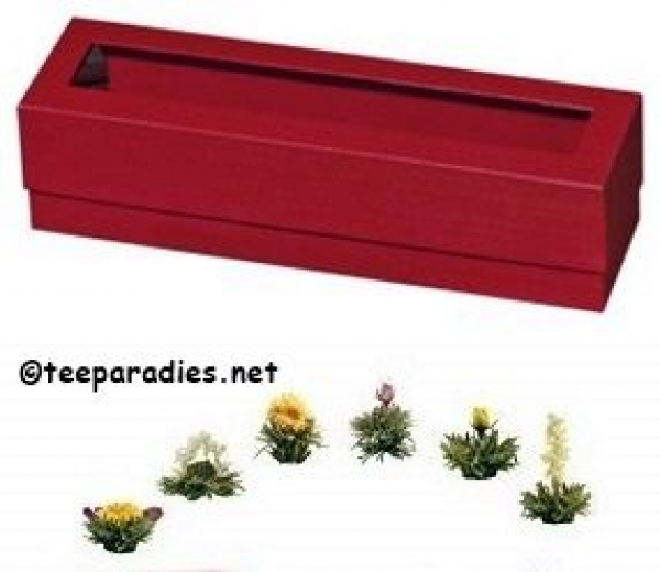 Erblühtee Creano Set: 1 x Stülpdeckelschachtel rot mit 6 Erblühteekugeln "Set"