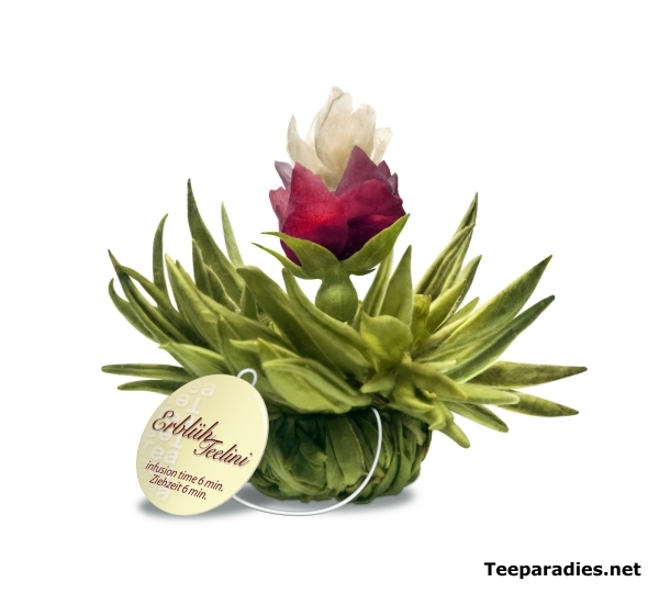 Teelini Teekugel "Peach Pearl"