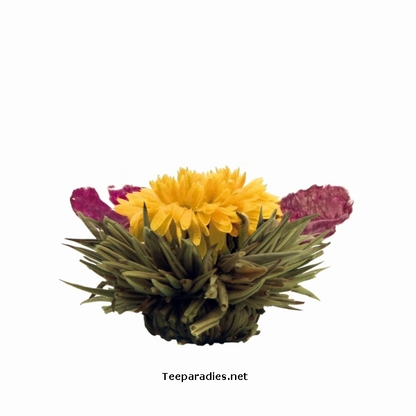 Erblühteekugeln einzeln "Goldkönigin"