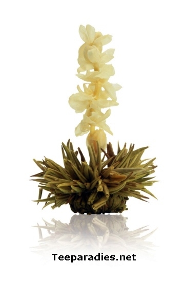 Erblühteekugeln einzeln "Weiße Affäre"